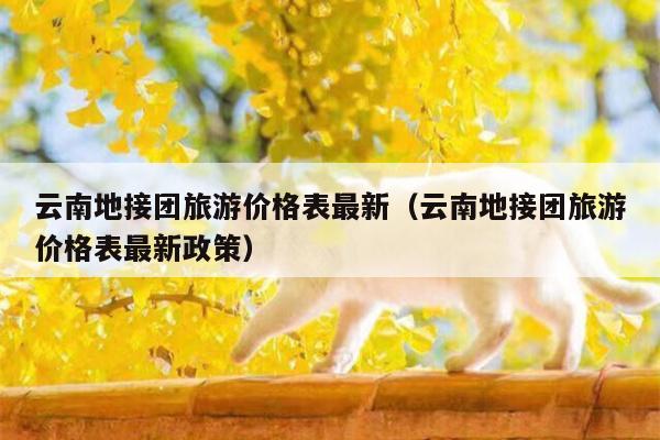 云南地接团旅游价格表最新（云南地接团旅游价格表最新政策）
