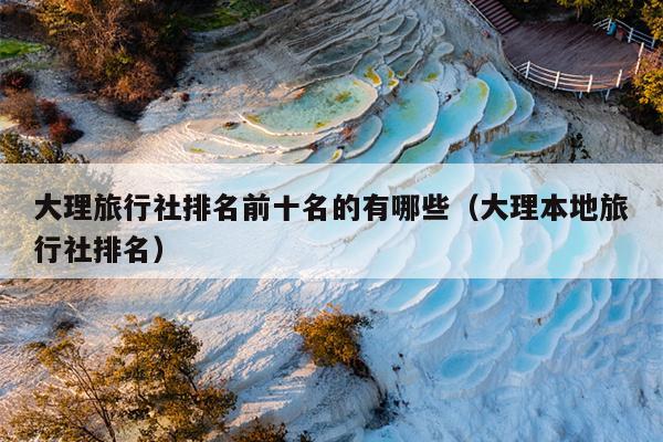 大理旅行社排名前十名的有哪些（大理本地旅行社排名）
