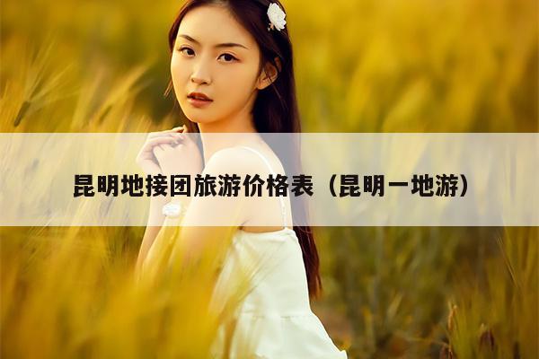 昆明地接团旅游价格表（昆明一地游）