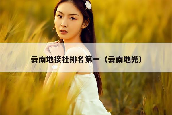 云南地接社排名第一（云南地光）