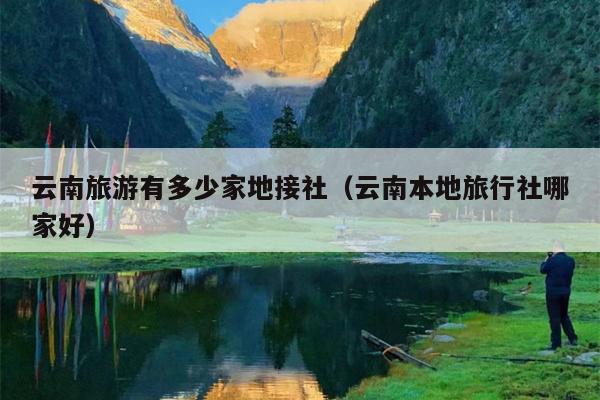 云南旅游有多少家地接社（云南本地旅行社哪家好）