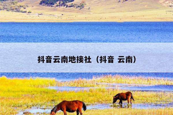 抖音云南地接社（抖音 云南）