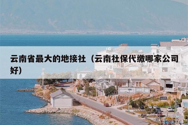 云南省最大的地接社（云南社保代缴哪家公司好）