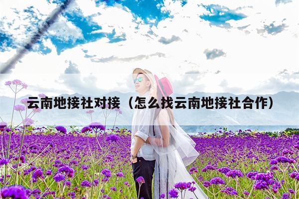 云南地接社对接（怎么找云南地接社合作）