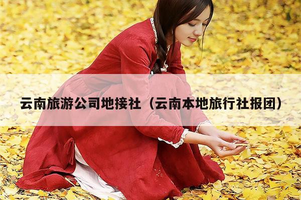 云南旅游公司地接社（云南本地旅行社报团）