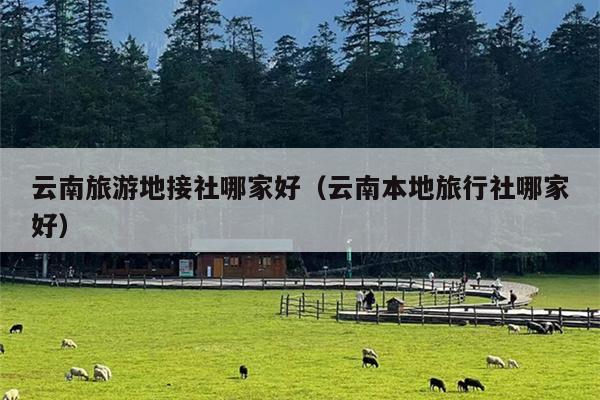 云南旅游地接社哪家好（云南本地旅行社哪家好）