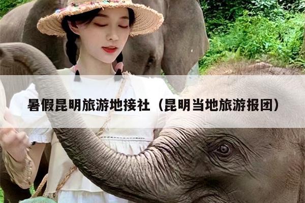 暑假昆明旅游地接社（昆明当地旅游报团）