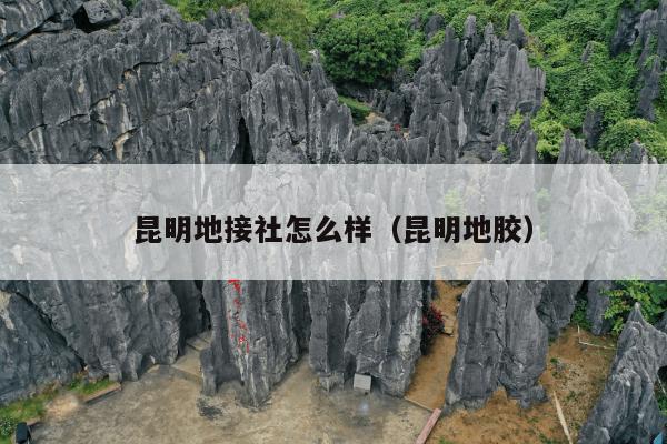 昆明地接社怎么样（昆明地胶）