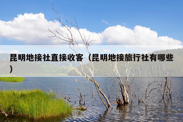 昆明地接社直接收客（昆明地接旅行社有哪些）