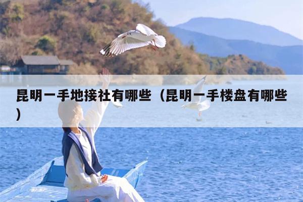 昆明一手地接社有哪些（昆明一手楼盘有哪些）