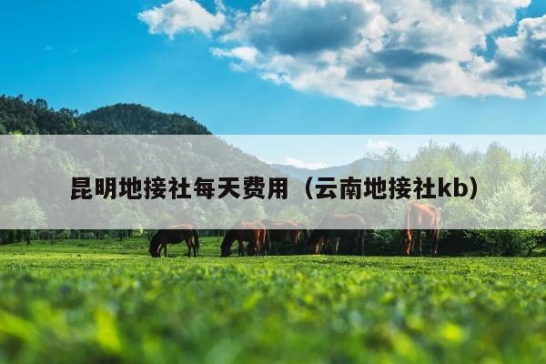 昆明地接社每天费用（云南地接社kb）