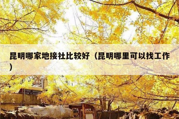 昆明哪家地接社比较好（昆明哪里可以找工作）