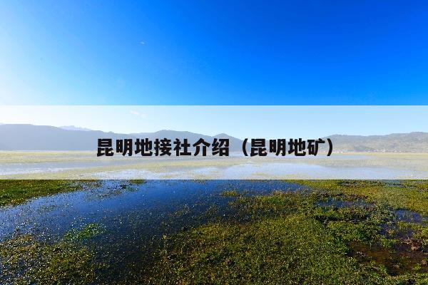 昆明地接社介绍（昆明地矿）