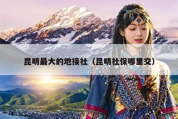 昆明最大的地接社（昆明社保哪里交）