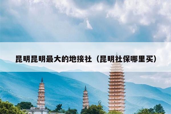 昆明昆明最大的地接社（昆明社保哪里买）