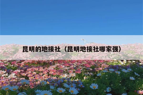 昆明的地接社（昆明地接社哪家强）