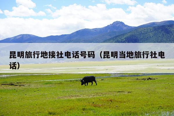 昆明旅行地接社电话号码（昆明当地旅行社电话）
