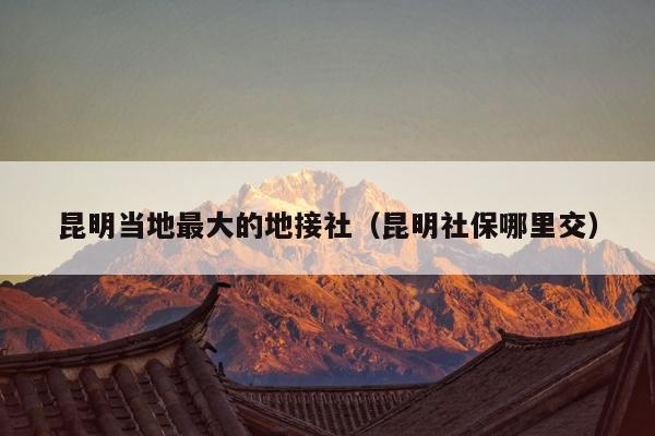 昆明当地最大的地接社（昆明社保哪里交）