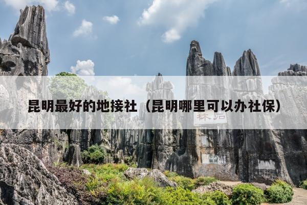 昆明最好的地接社（昆明哪里可以办社保）