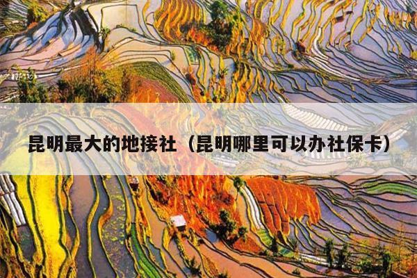 昆明最大的地接社（昆明哪里可以办社保卡）