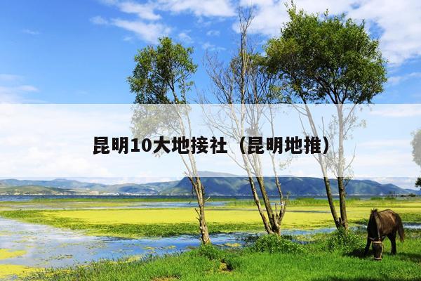 昆明10大地接社（昆明地推）