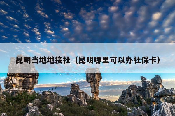 昆明当地地接社（昆明哪里可以办社保卡）