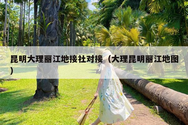 昆明大理丽江地接社对接（大理昆明丽江地图）