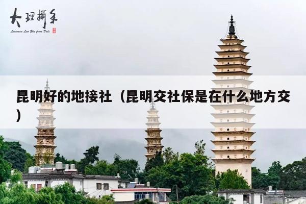 昆明好的地接社（昆明交社保是在什么地方交）