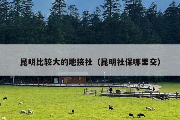 昆明比较大的地接社（昆明社保哪里交）