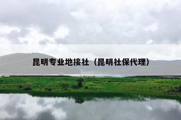 昆明专业地接社（昆明社保代理）