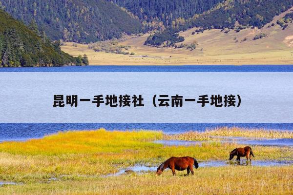 昆明一手地接社（云南一手地接）