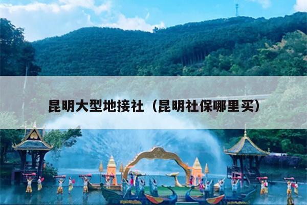 昆明大型地接社（昆明社保哪里买）