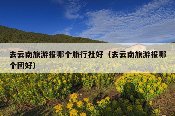 去云南旅游报哪个旅行社好（去云南旅游报哪个团好）