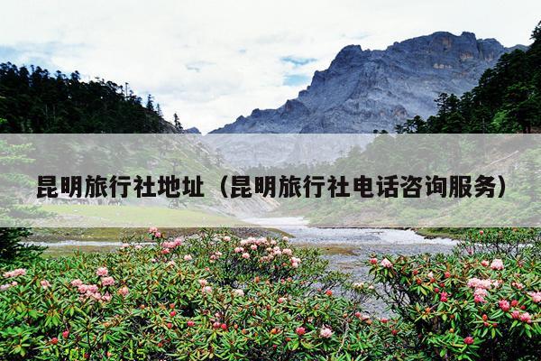 昆明旅行社地址（昆明旅行社电话咨询服务）