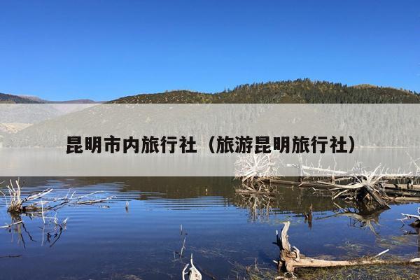 昆明市内旅行社（旅游昆明旅行社）