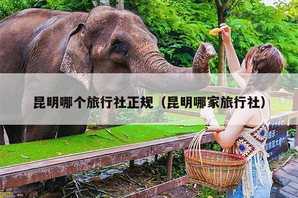 昆明哪个旅行社正规（昆明哪家旅行社）