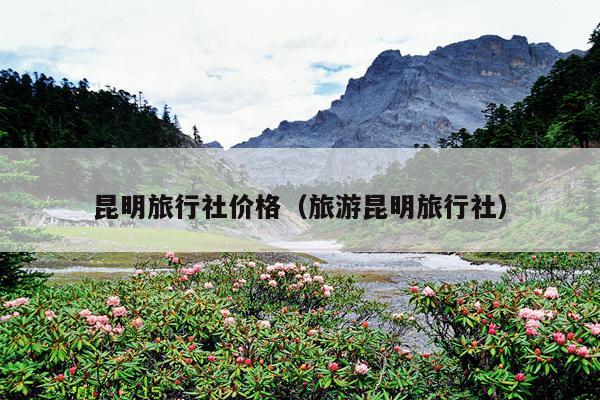 昆明旅行社价格（旅游昆明旅行社）