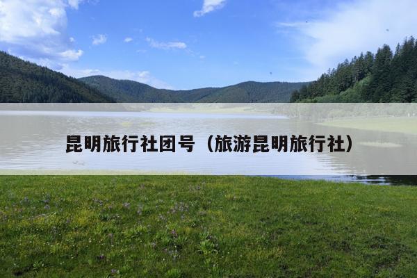 昆明旅行社团号（旅游昆明旅行社）