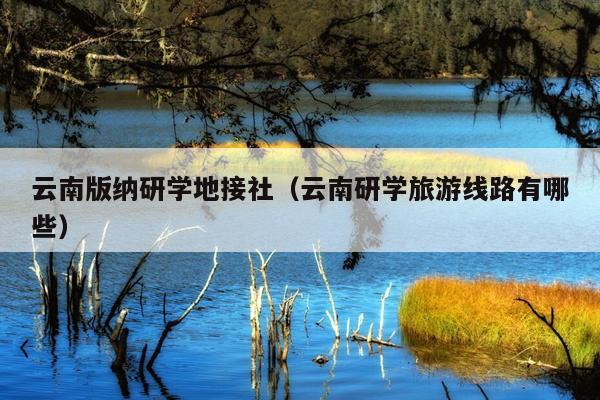 云南版纳研学地接社（云南研学旅游线路有哪些）