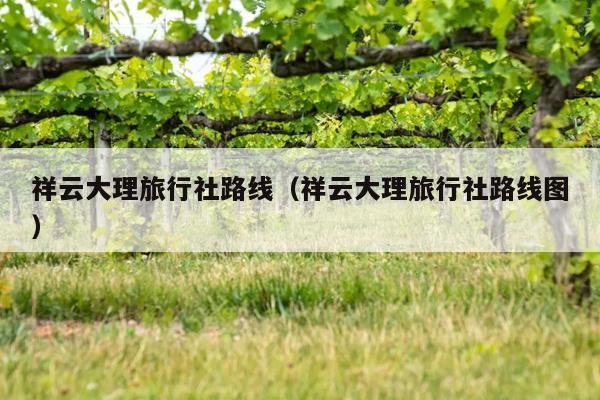 祥云大理旅行社路线（祥云大理旅行社路线图）
