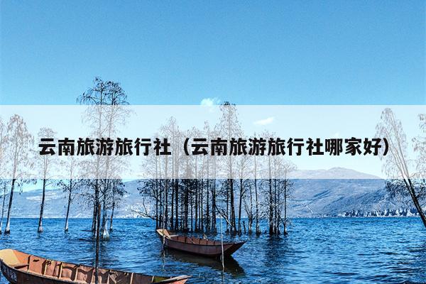 云南旅游旅行社（云南旅游旅行社哪家好）