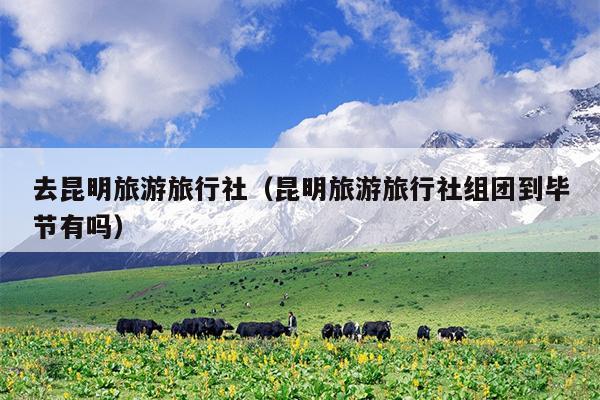 去昆明旅游旅行社（昆明旅游旅行社组团到毕节有吗）