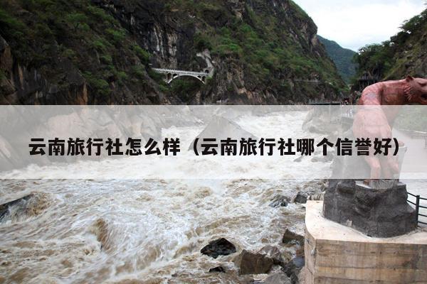 云南旅行社怎么样（云南旅行社哪个信誉好）