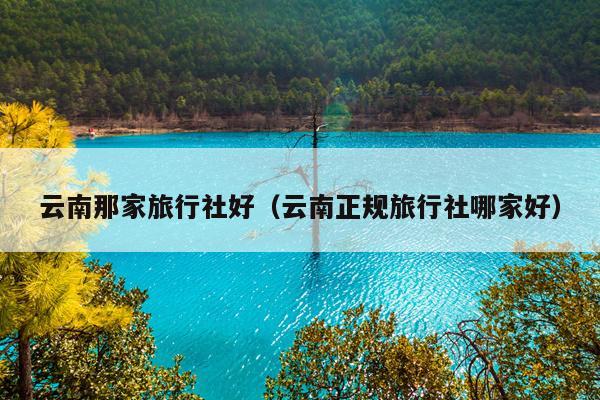 云南那家旅行社好（云南正规旅行社哪家好）