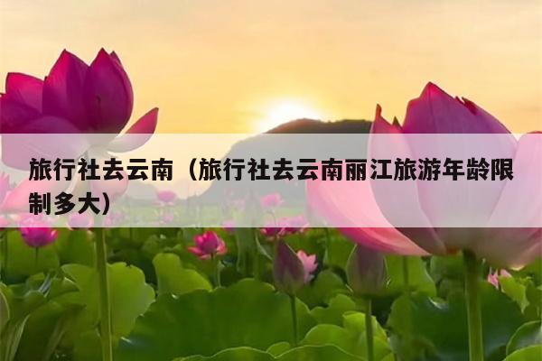 旅行社去云南（旅行社去云南丽江旅游年龄限制多大）