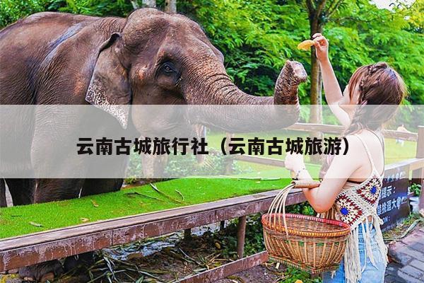 云南古城旅行社（云南古城旅游）