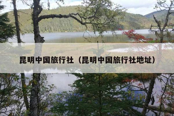 昆明中国旅行社（昆明中国旅行社地址）