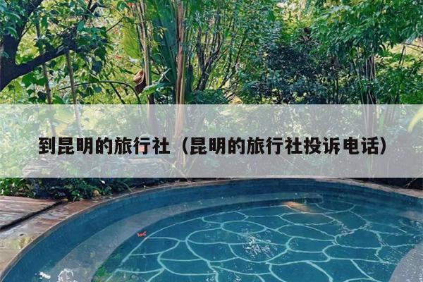 到昆明的旅行社（昆明的旅行社投诉电话）