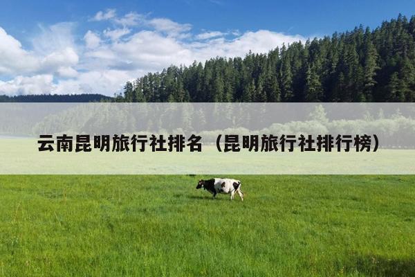 云南昆明旅行社排名（昆明旅行社排行榜）
