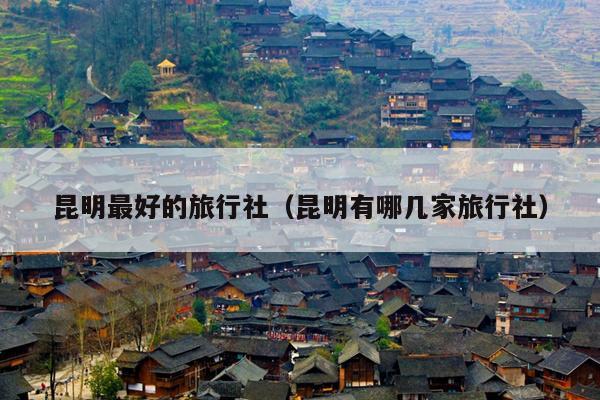 昆明最好的旅行社（昆明有哪几家旅行社）